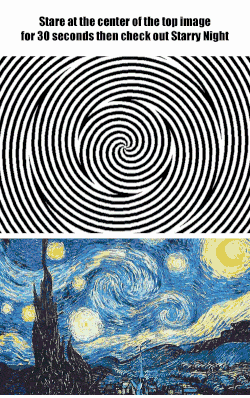 Starry Night Illusion. A black and white swirling pattern illusion and Van Gough Starry Night painting. 