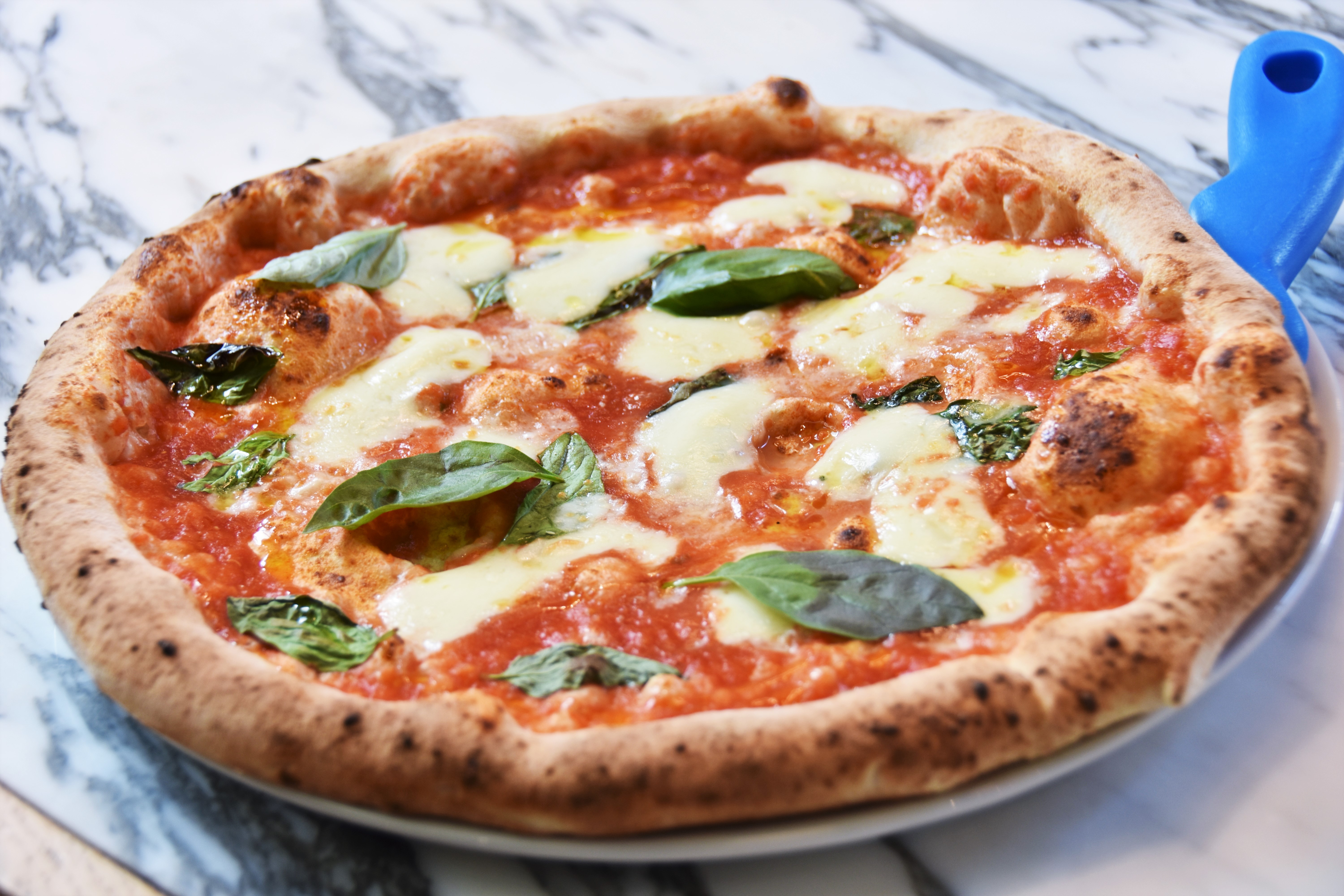 Cold Town House Pizza