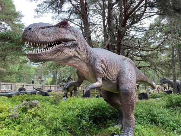 T-Rex dinosaur at Landmark Forest Adventure Park