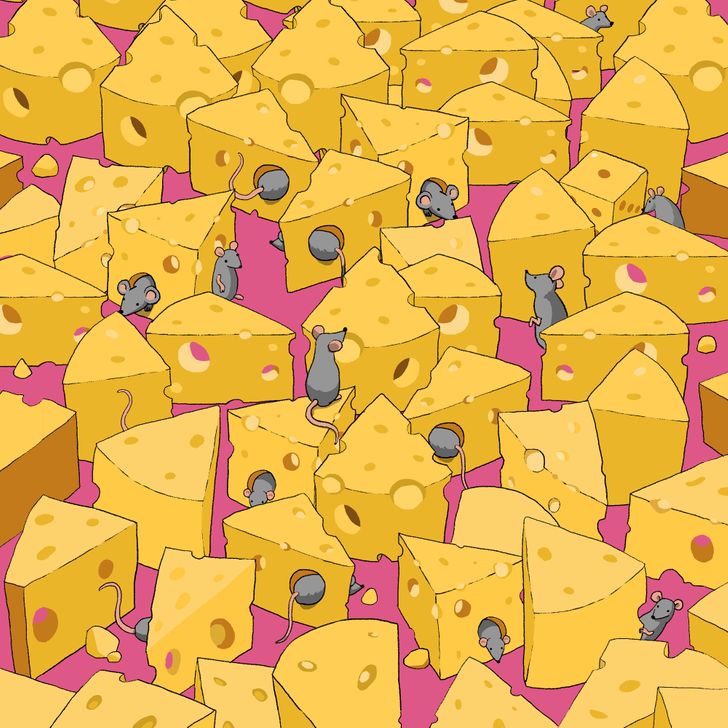 a gouda illusion for you today, can you find the dice amongst the cheese