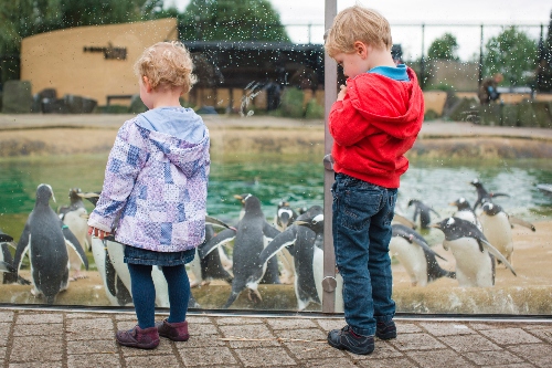 Children at Edinburgh Zoo