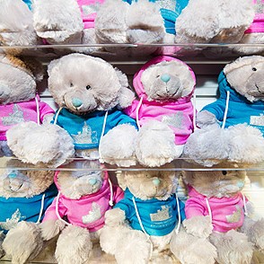 Teddy Teddy
