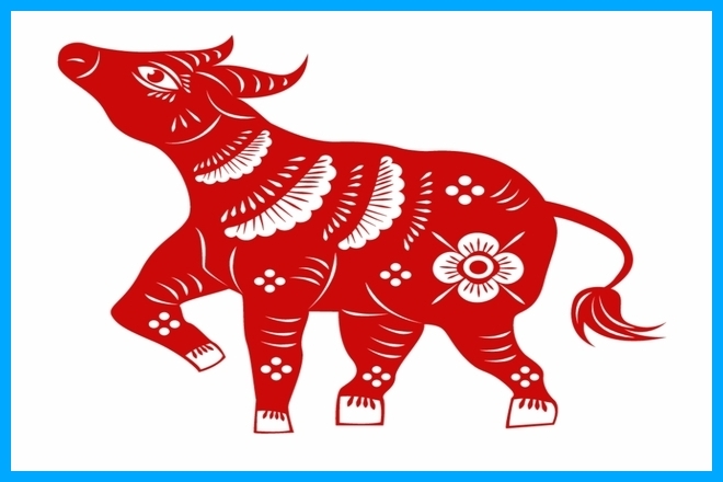 Chinese New Year symbol of the Ox