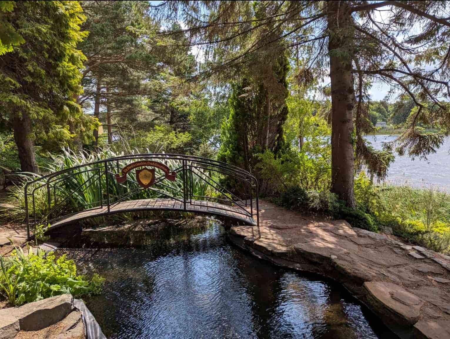 A bridge over a pond surrounded by trees at Dr Neil's Garden in Edinburgh