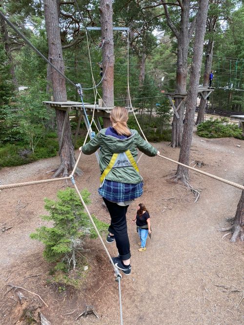 A girl on a high tree top rope walk at Landmark Forest Park