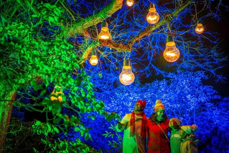 A family look at colourful lights on trees at Edinburgh Botanic Gardens 