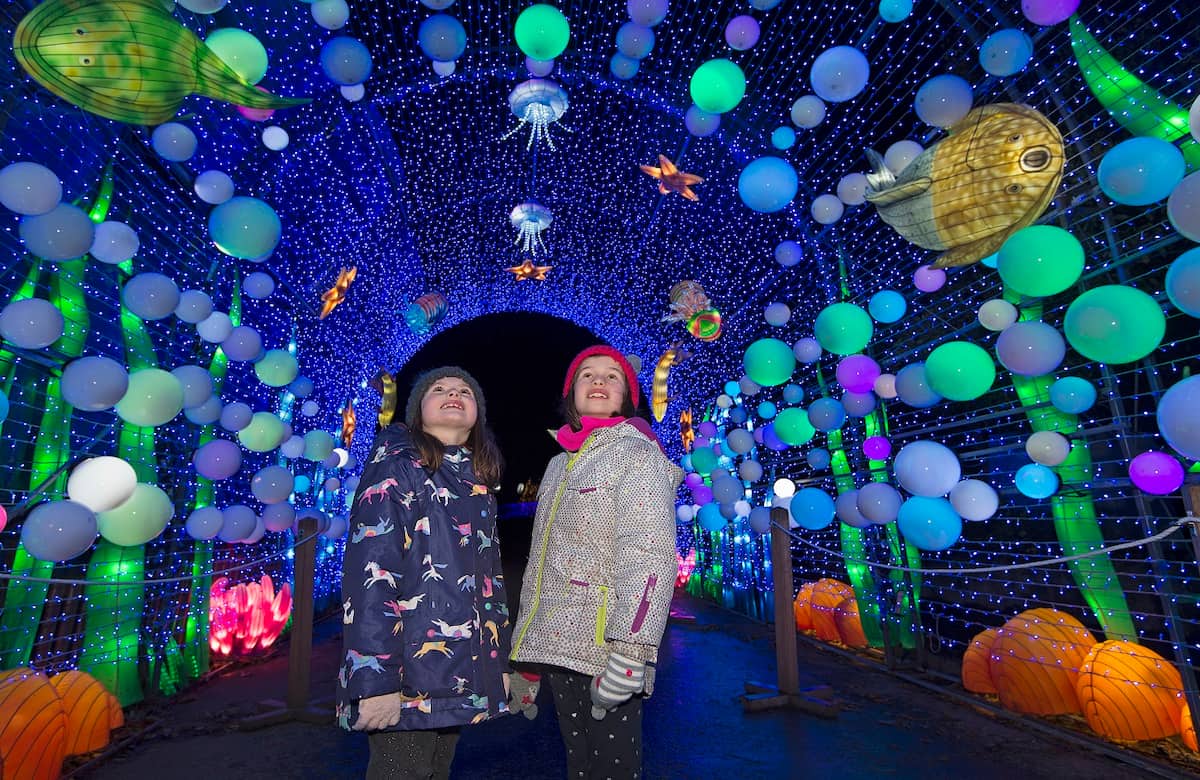 Giant Lanterns of fish with girls standing underneath at Edinburgh Zoo 2025