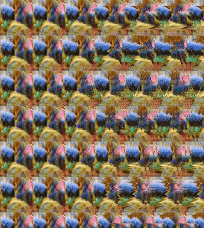 Magic Eye Illusion - can you see the fish?